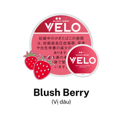 VELO Blush Berry (Vị dâu)