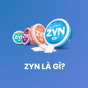 Zyn là gì?