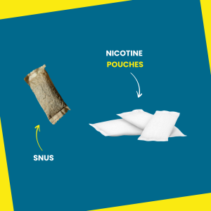 zyn-nicotine-pouches